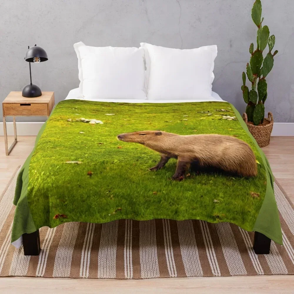 

Capybara Throw Blanket Reusable Durable Soft Blanket for All Seasons