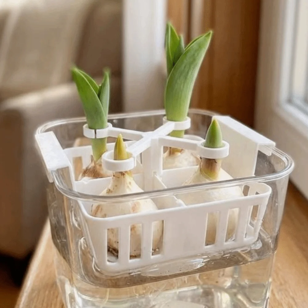 4-Hole Hydroponic Tulip Anti-Tip Stand Stabilize Keep Upright Plant Fixer Bracket Plastic Anti-Fall Tulip Bulb Support Holder