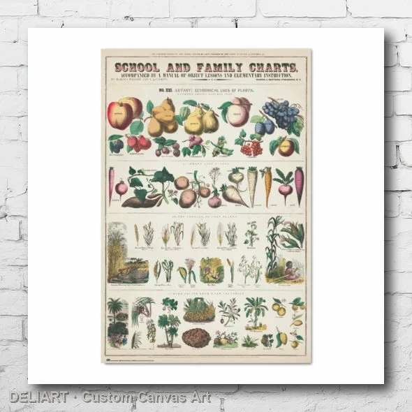

FRUIT AND VEGETABLE CHART Canvas Poster - Custom Size Available Room Decoration Home Decor Wall Art