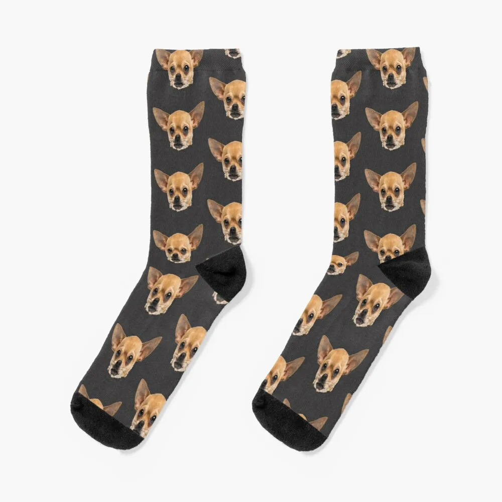 The Chihuaha Head Socks Cotton Socks Men