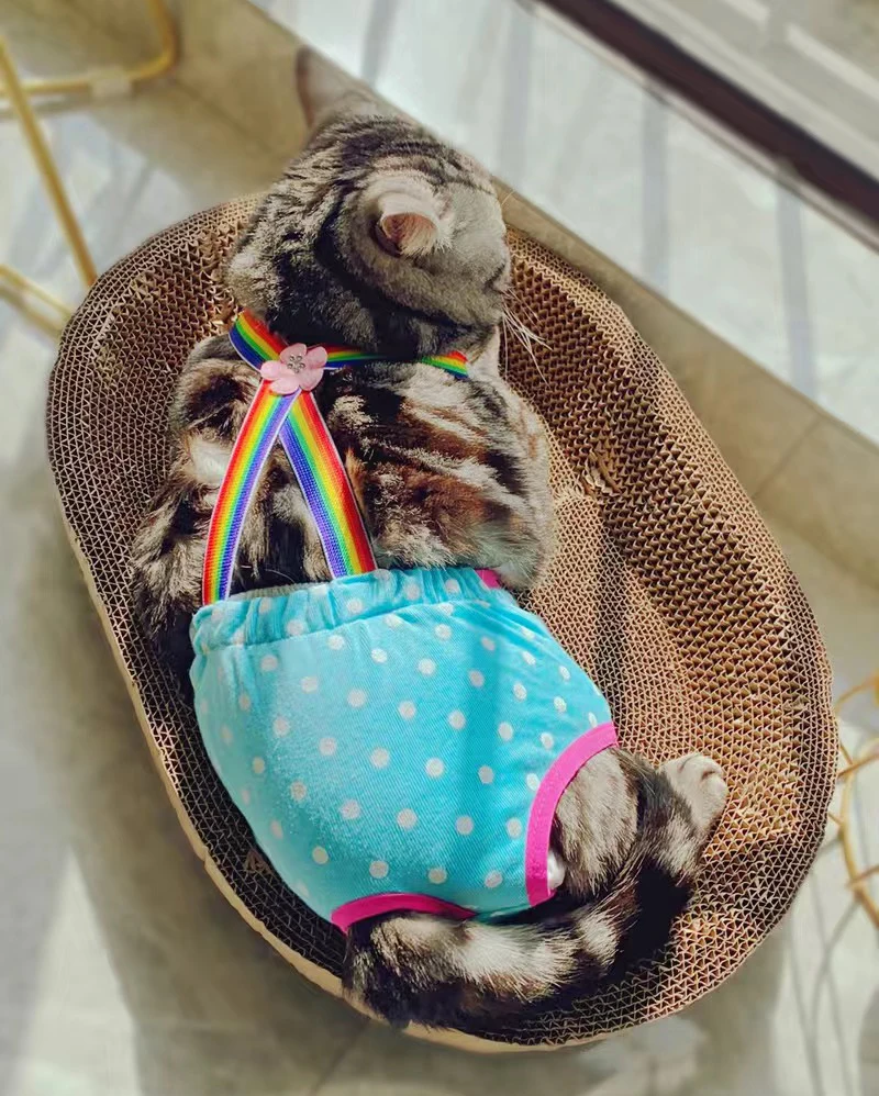 Denim-Höschen für Französische Bulldoggen, physiologische Höschen mit Punkten für weibliche Hunde, Sicherheits- und Hygienehöschen für kleine und mittelgroße Hunde, Katzen, Haustier-Shorts – Detail 6