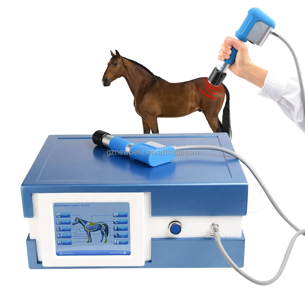 Shockwave horse physical pain relief veterinary vet horse machine para equinos shock wave therapy for horses sw13h equipment