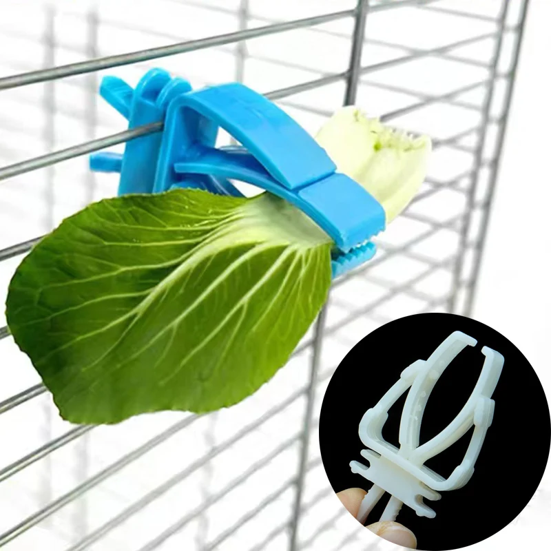 

1Pcs Small Pet Bird Food Holder Parrot Fruits Vegetables Clip Cuttlefish Bone Feeder Device Clamp Bird Cage Accessories Oiseaux