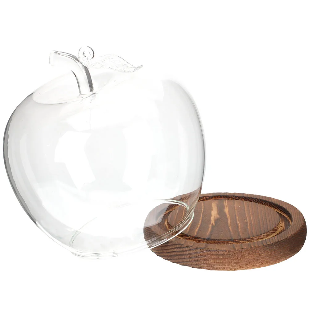 

Stable Base Glass Cover for Eternal Flower Display Clear Dome Decor Compact Size Desktop Micro Landscape Accessory