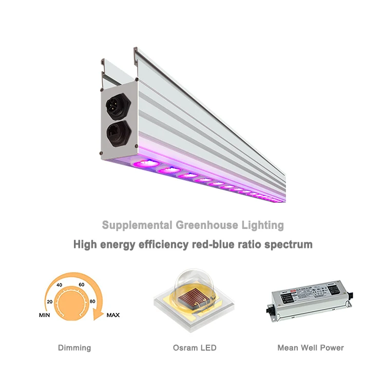 Supplemental Plant lights Greenhouses Horticulture LED lighting Toplighting LED Grow light Module Led Growth Lamp