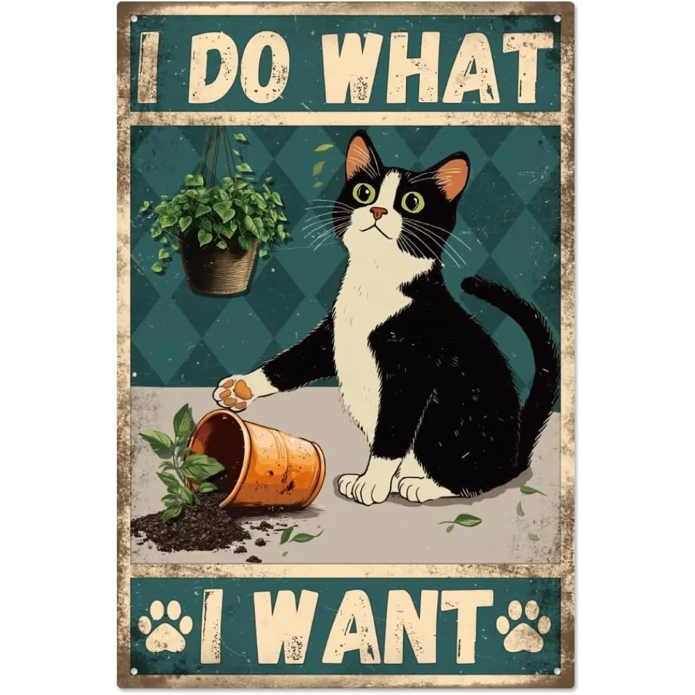 Black Cat Funny Met…