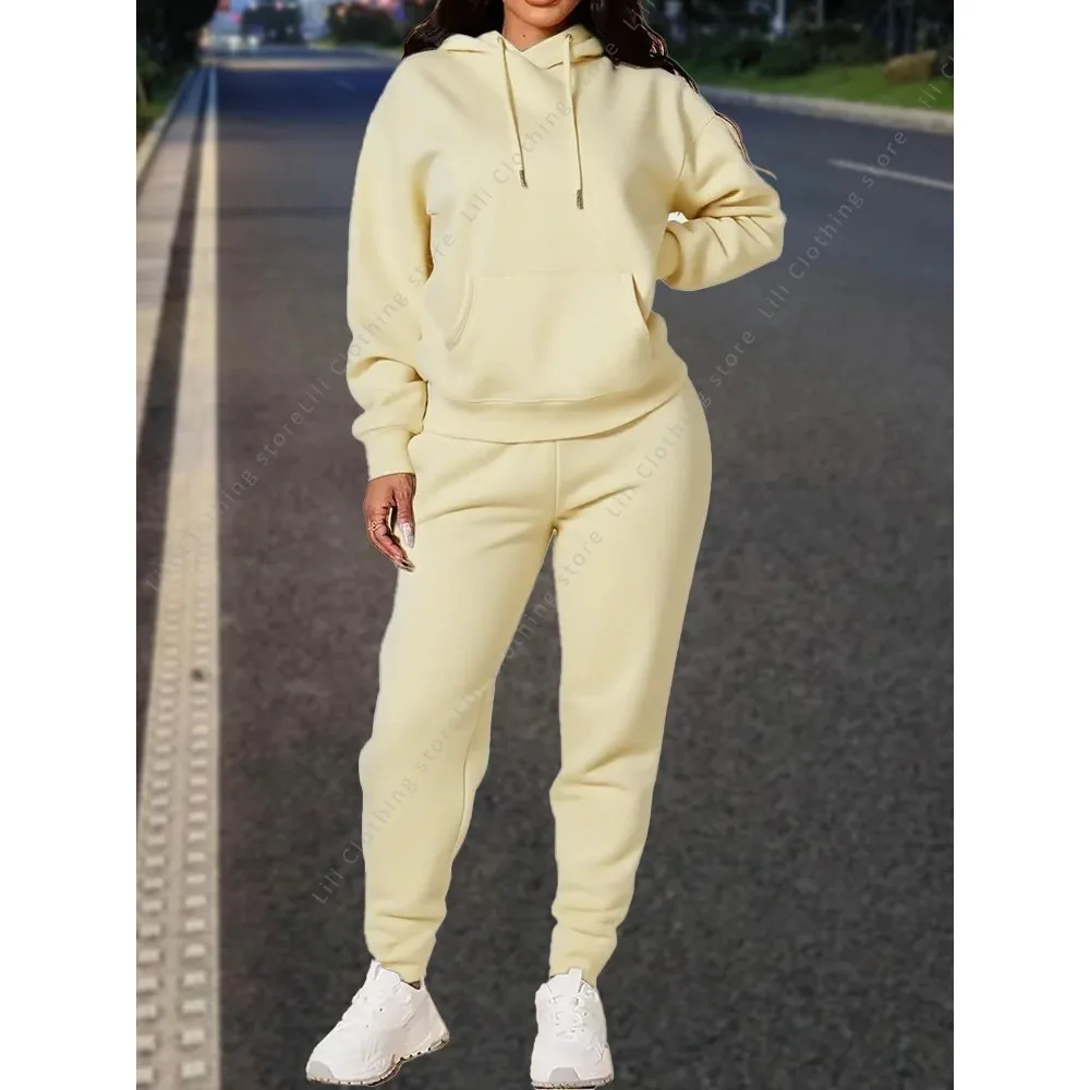High quality pants Sets for Women Hoodie +pants Autumn Winter 2-Piece Outfits Basic blank Sweatshirt Sweatpant women Tracksuit view 4