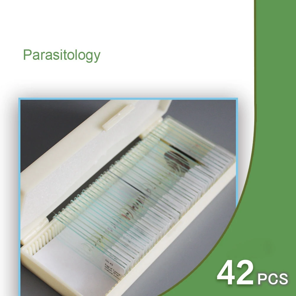 42pcs Microscope Slides Parasites Biological Specimen Slides for Parasitology Teaching Research Medical School