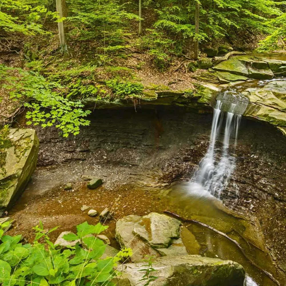 

AM32 80A Brushless Programming ESC 2~6S BEC 5-8.2V USB Type-C Link for 1/8 1/10 RC AXIAL SCX10 90046 TRAXXAS TRX4 RC4WD Parts