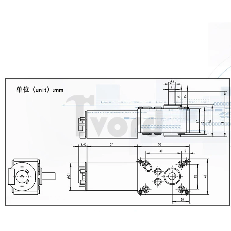 12V A58SW31ZYB Worm Gear Self-Locking Motor with 5840 Hall Encoder DC Geared Moto