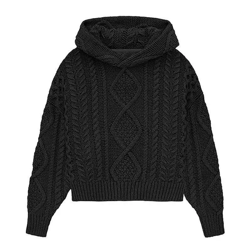 24ss FO Double Thread Casual Hooded Twists Shape Sweater Knitwear Autumn and Winter New Men and Women High Street Hooded Sweater