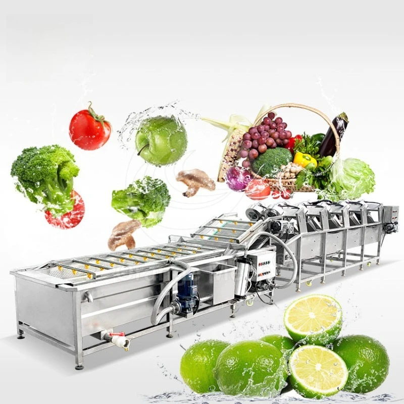 Sweet Potato Lettuce Clean Sort Package Equipment Fruit and Vegetable Wash and Drying Machine for Date