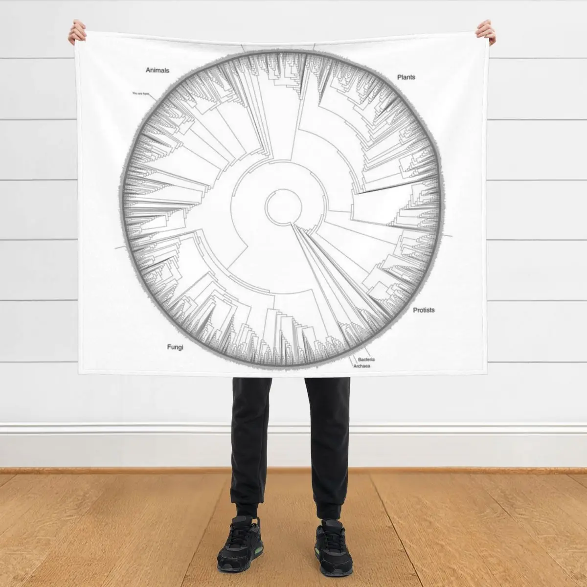 What is a Plot 3D Design and How to Choose the Perfect 3D Throw Blanket for Your Home?