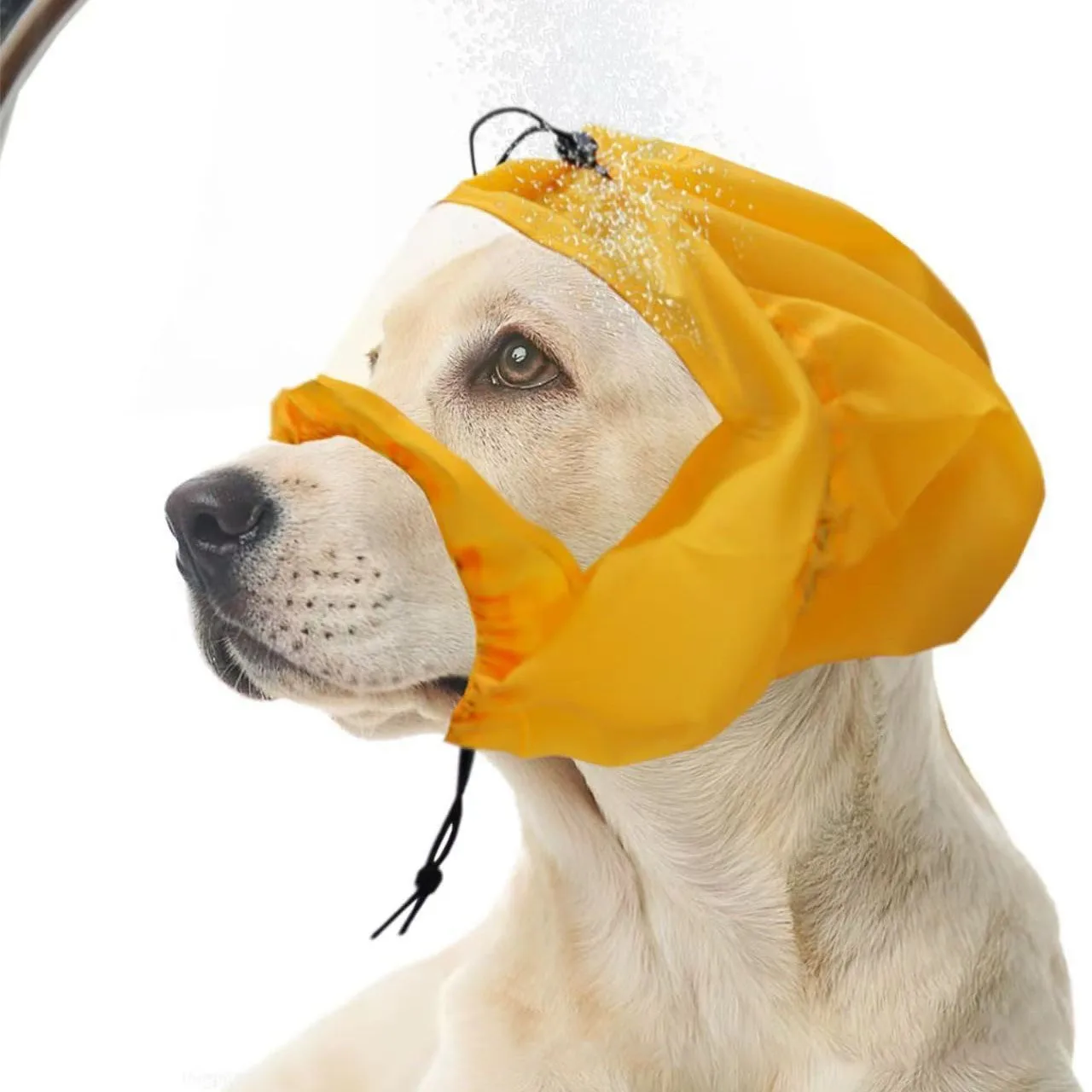 Dog waterproof shower cap, dog swimming protection, ear waterproof head cover, shower waterproof head cover