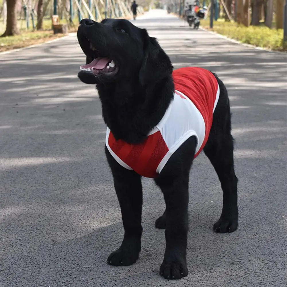 Pet T-shirt  Stylish Patchwork Color High Elasticity  Pet Dogs Cats Sleeveless T-shirt Clothes Pet Supplies