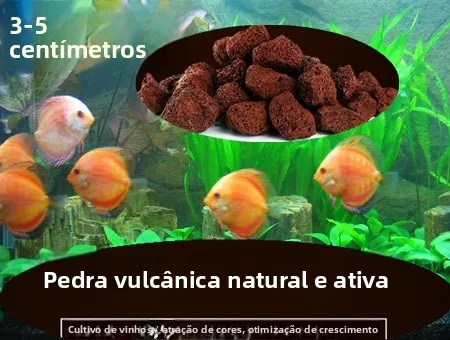 decoration-volcanique-ro-lacape-pour-aquarium-et-plantes-succulentes-caracteristique-d'eau-literie-orchidee-sol-pierre-volcanique-reservoir-fi