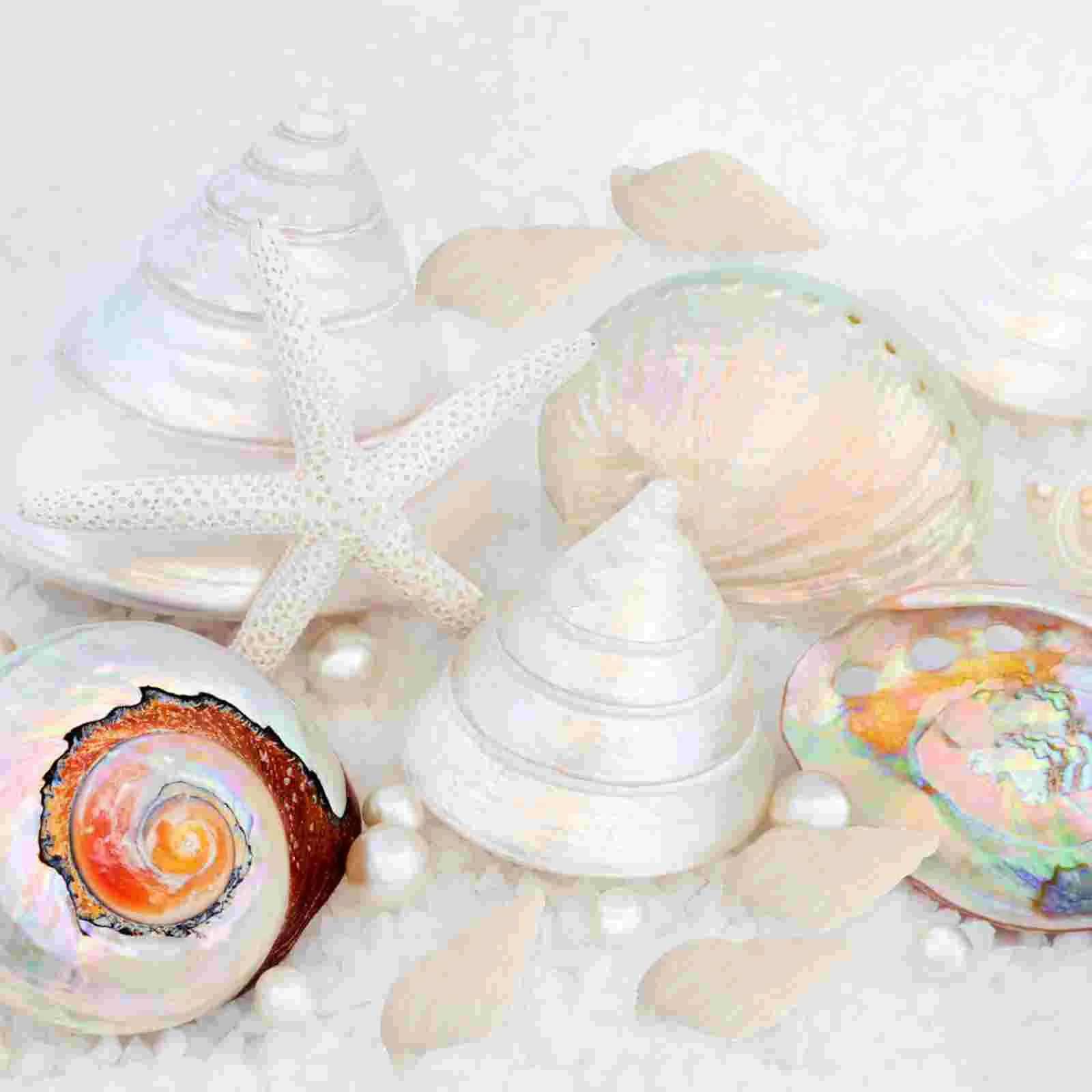 100 Pcs Wedding Decorations Conch for Sea Shell Conches Dining Table Mini White