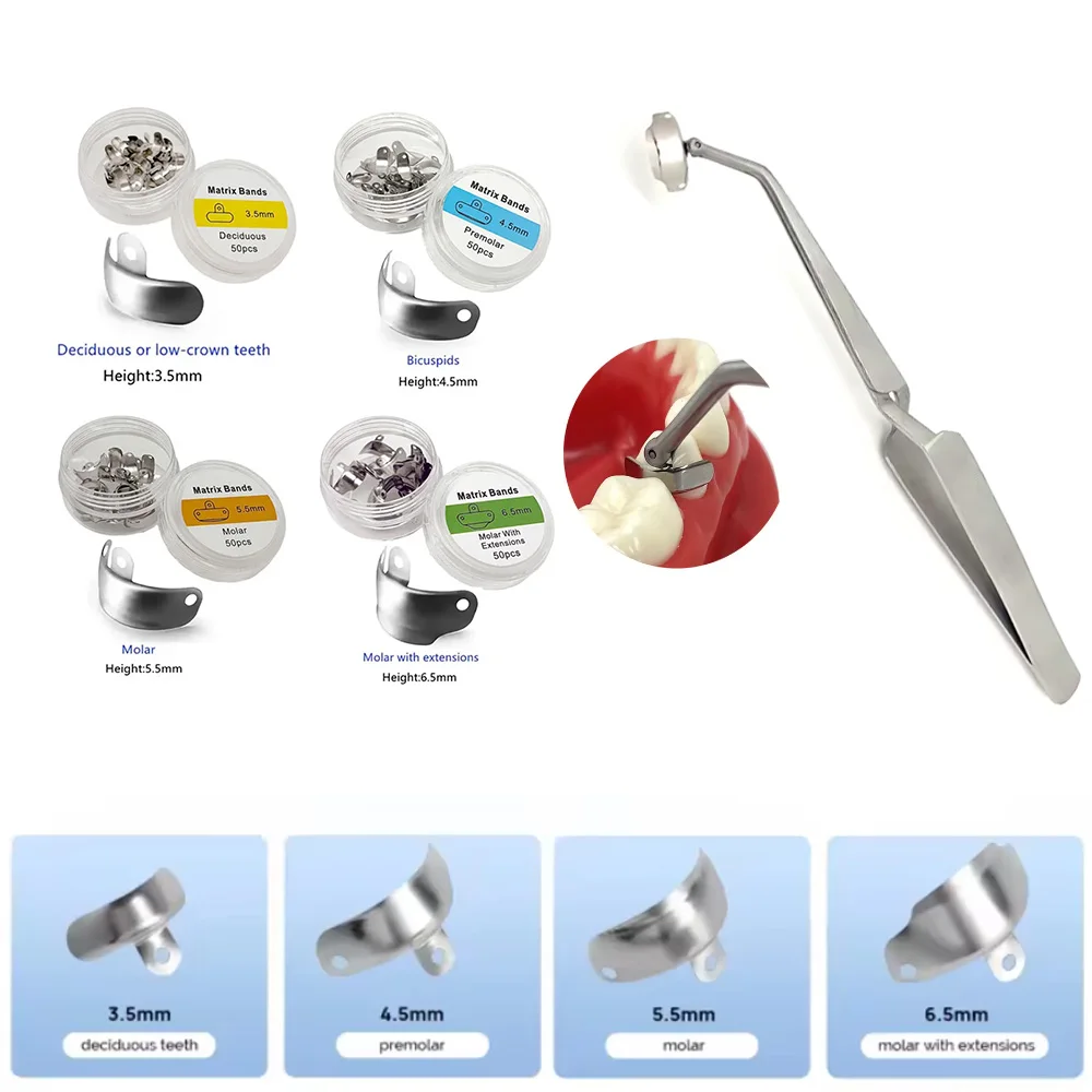 

Stainless Steel Dental Matrix Holder Clamp with Forceps for Sectional Band Placement Orthodontic Tweezer Tool