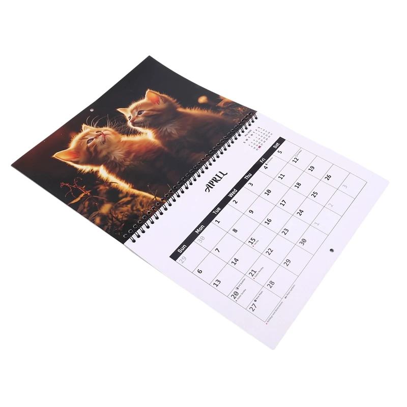 2025 Calendar Cats Monthly Wall Calendar, Family Planner Calendar Organizer With Funny Fat Cats Images, For Cats Lovers