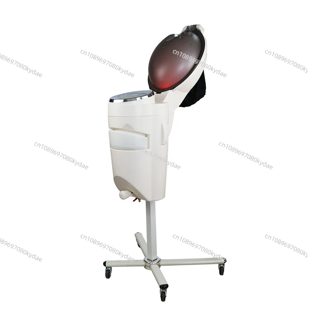 Barber Shop Ozone Oven Micro Mist Machine Steam Care Nutritional Chemistry Instrument