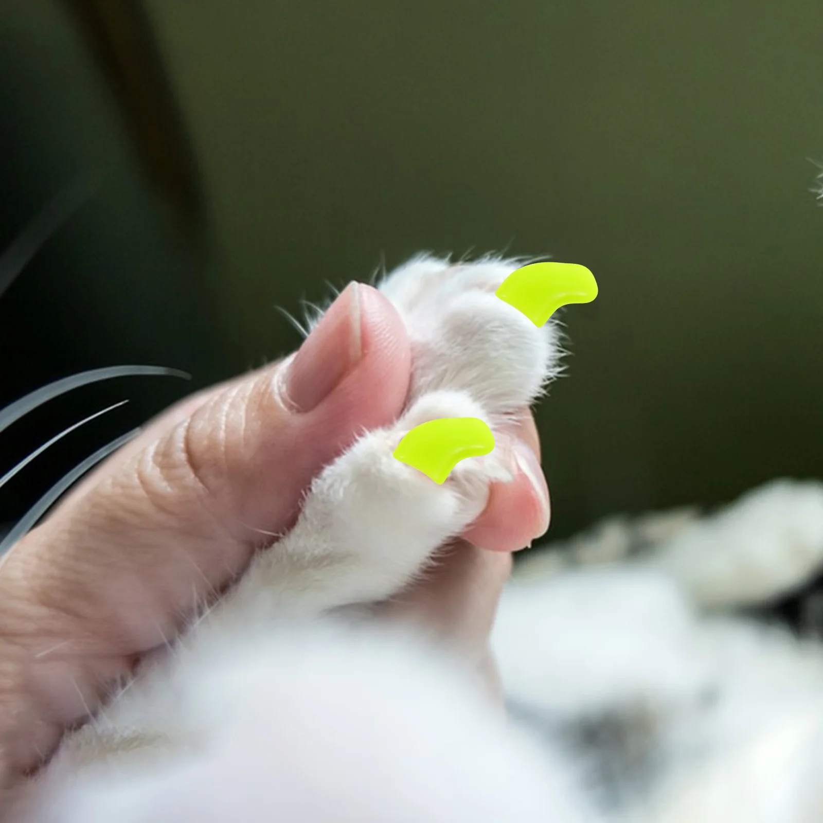 

20Pcs Cat Kitten Claw Protective Cover Indoor Cat Nails Protector Furniture Scratch Prevention Pet Accessories