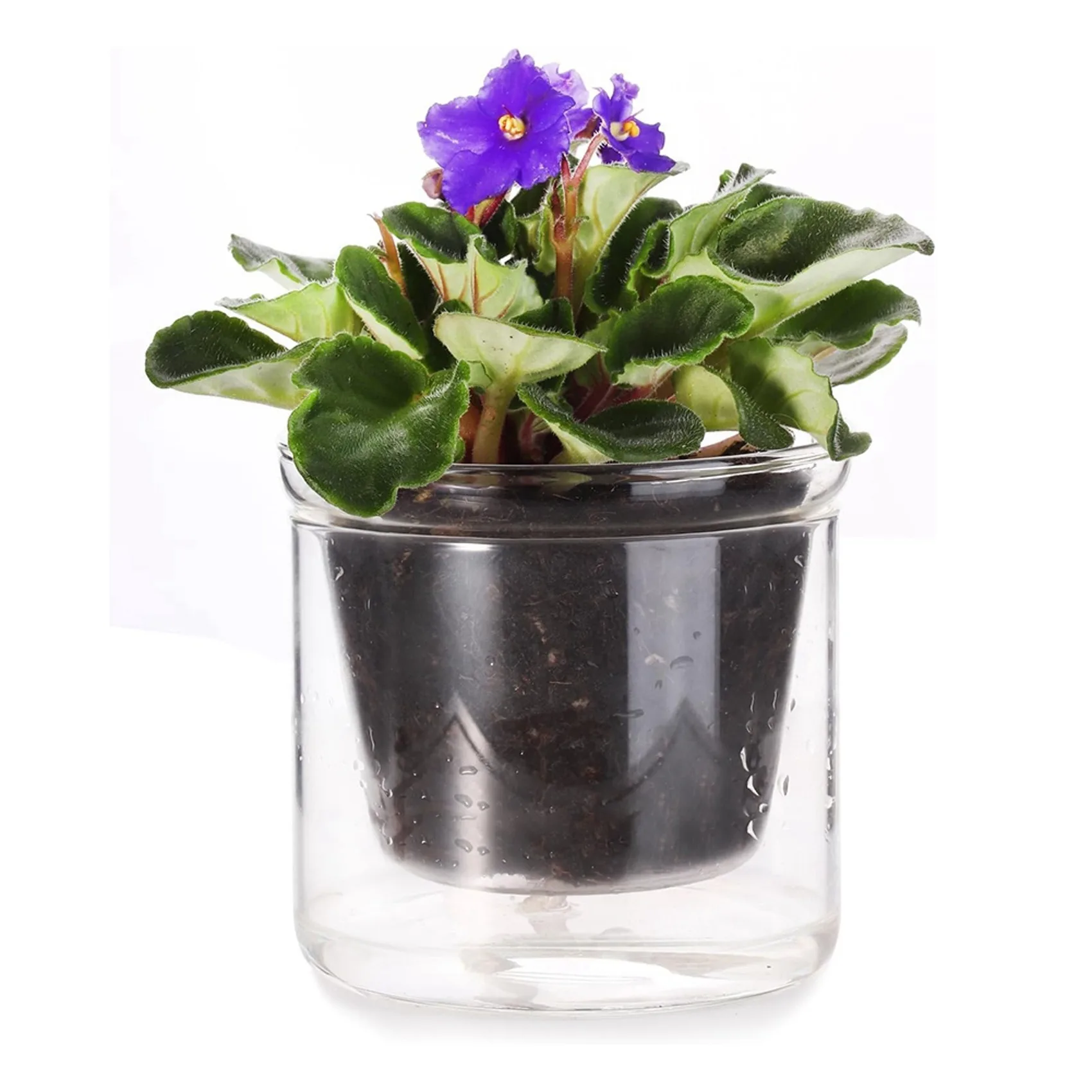 Special Offer~3Pcs 4 Inch Self Watering Pot,African Violet Pot,Bottom Watering Glass Planter For Indoor Plants And Progagation