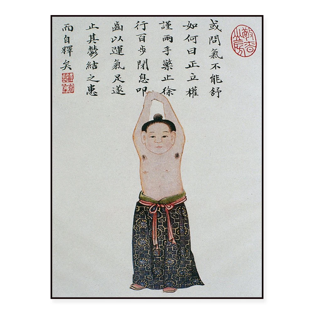 Chinese Medicine Nourishing Heart Blood Tonifying Qi Tonifying Method Poster Print - Traditional Herbal Healing Visual Guide