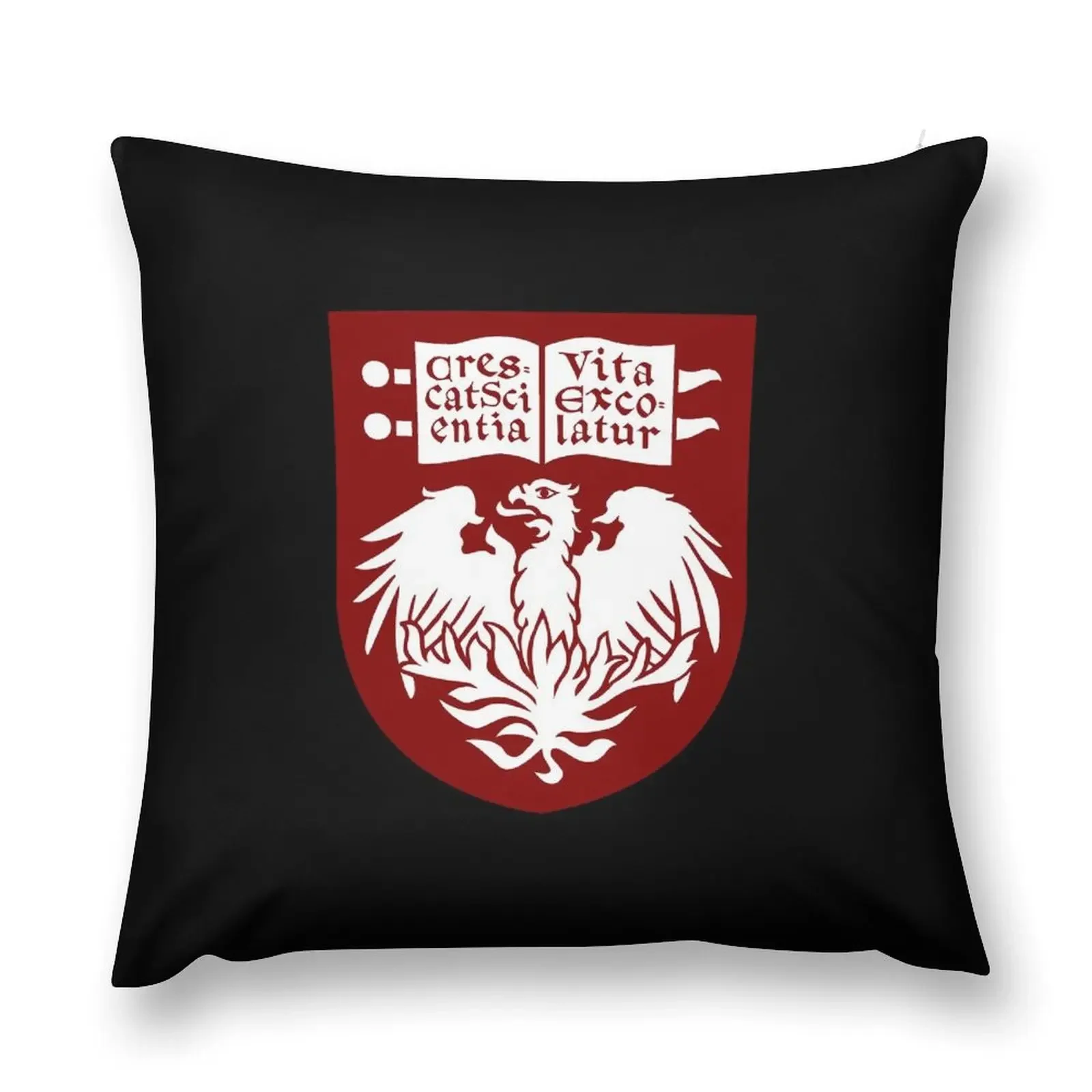 University of Chicago Throw Pillow Christmas Covers For Cushions sleeping pillows Pillow Cases anime girl pillow