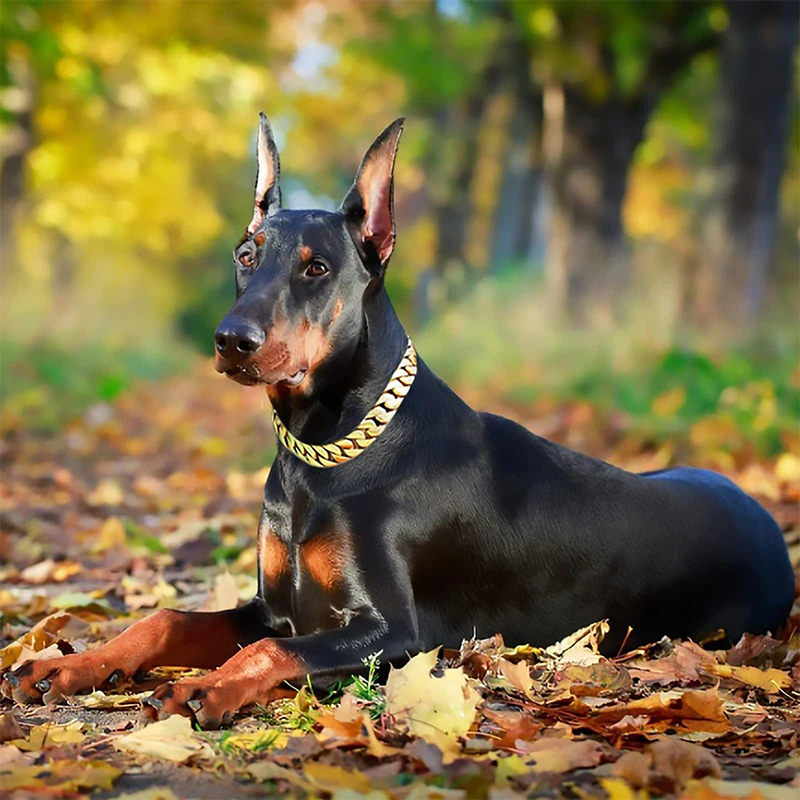 Big Dog Chain Collar with Buckle Strong Heavy Duty 32MM Thick Wide Stainless Steel Metal Cuban Link Chain Collar for Large Dogs