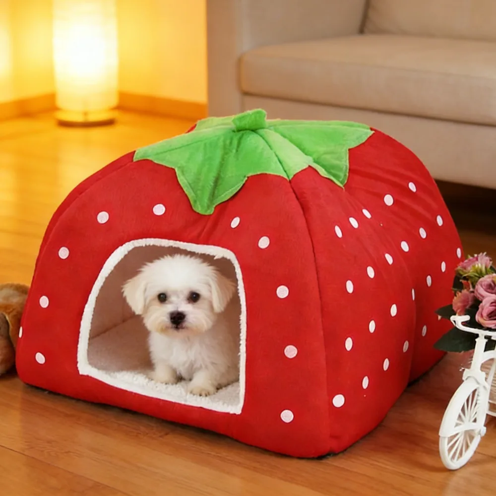 Strawberry Hamster …