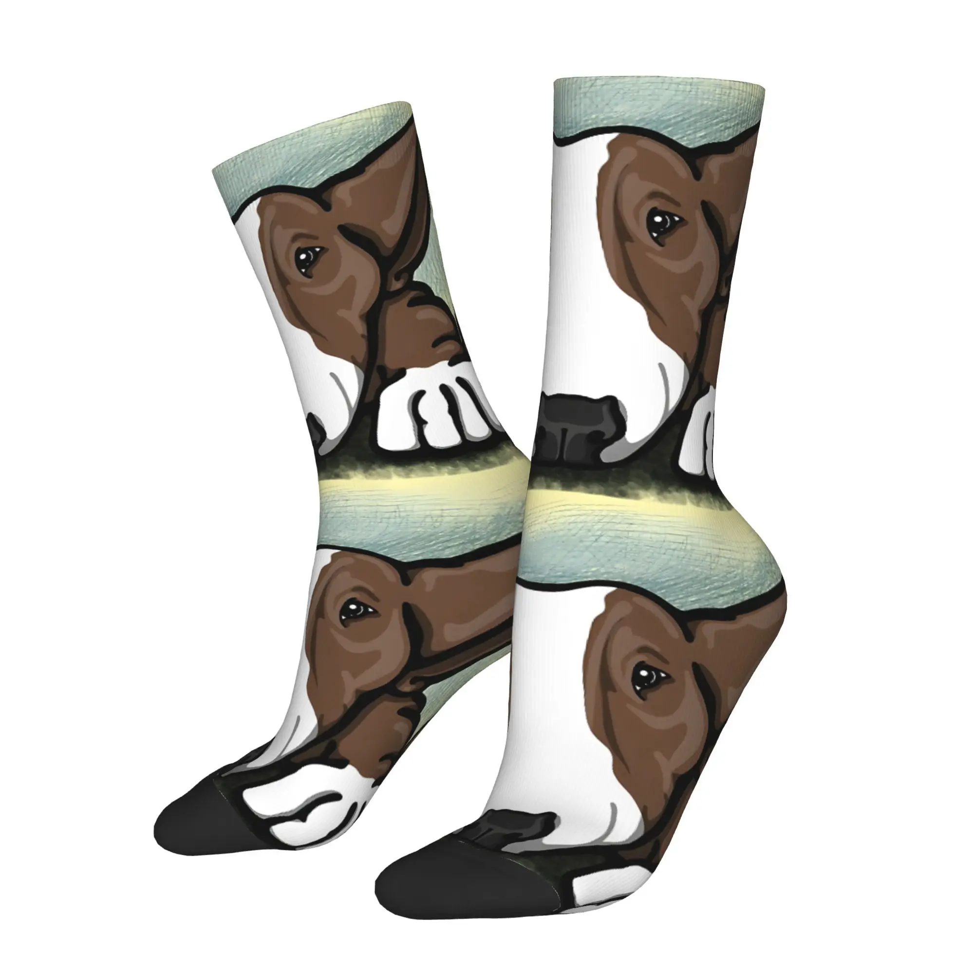 Calcetín divertido para hombres Bullterrier Tan Hip Hop Vintage feliz patrón transpirable impreso Crew calcetín regalo novedoso