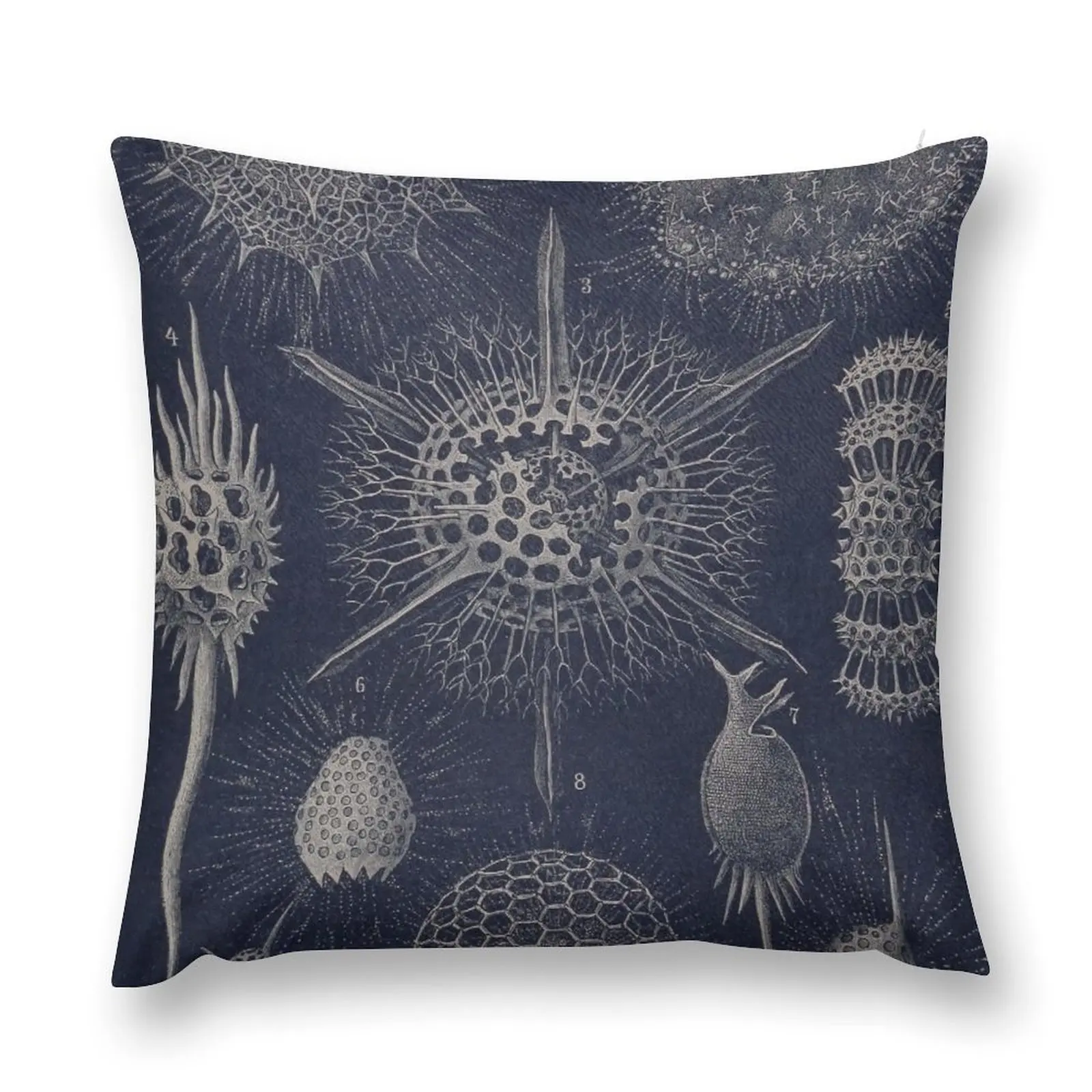 Vintage Radiolaria Fossils Throw Pillow Decorative Cushion Cover Pillow Cases pillow