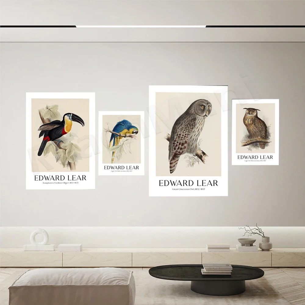 إدوارد لير - Macrocercus Ararauna، بومة النسر، طباعة فنية الببغاء الأزرق والأصفر، ملصق نباتي