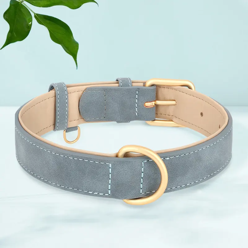 Dog neck collar lettering pet leather collar medium and small dog corgi teddy bear anti-lost collar traction