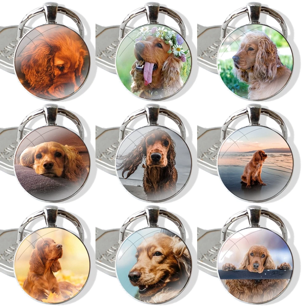 glass cabochon keychain Car key chain Charms keychains Gifts TPU Transparent Cover harper cocker spaniel hellip dog puppies Cute