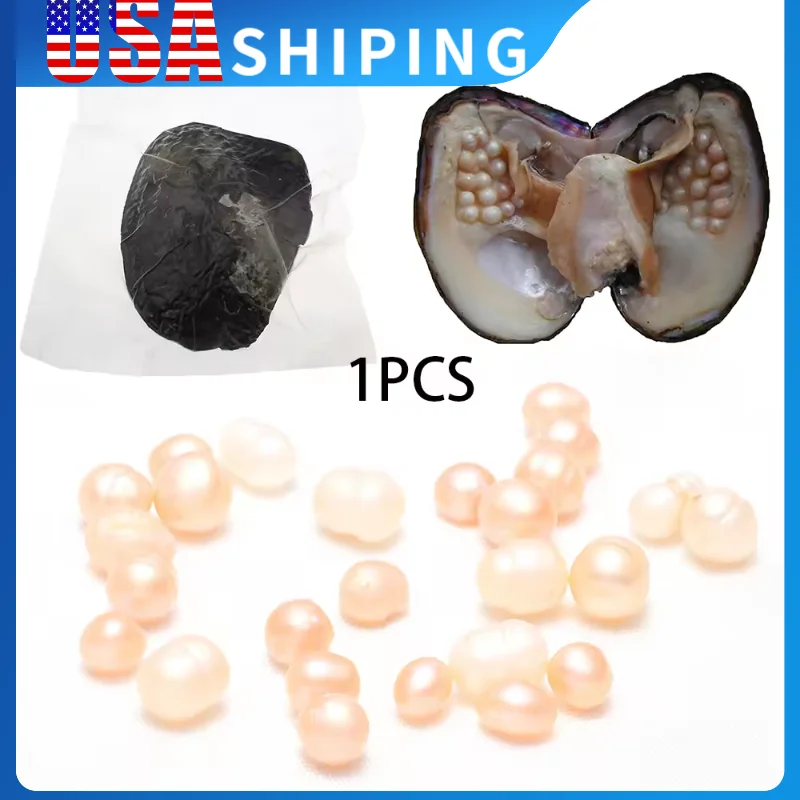 

1 шт., вакуумная упаковка, устрица около 15-25 жемчуга, вакуумная упаковка, устрица, красивые и интересные подарки для природы, культивирующий высококачественный жемчуг
