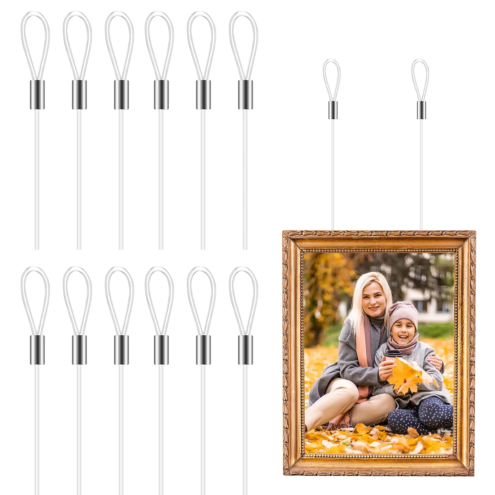 

12 Pcs Transparent Nylon Rope Hanging Cords Clear String Picture Frame Mounting Materials Sewing Tools Canvas Kit