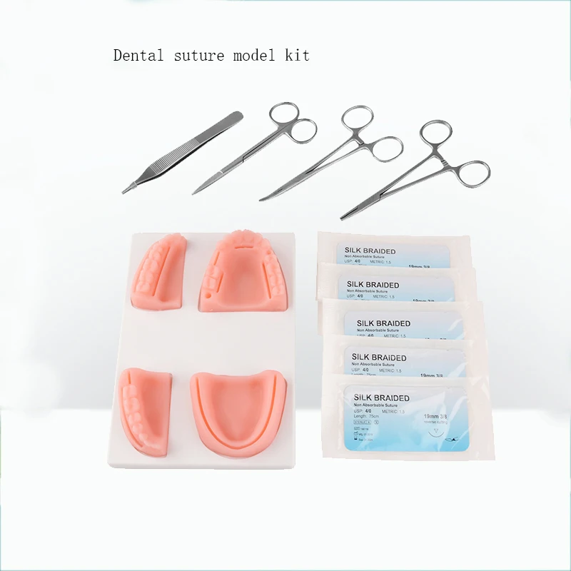 Conjunto de modelo de sutura dentária, exercício de simulação de dentistas, prática de feridas dentárias, simulação de feridas orais