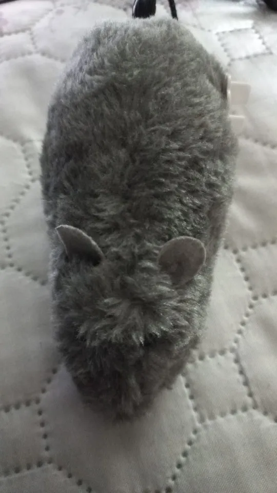 실물 포토 리뷰