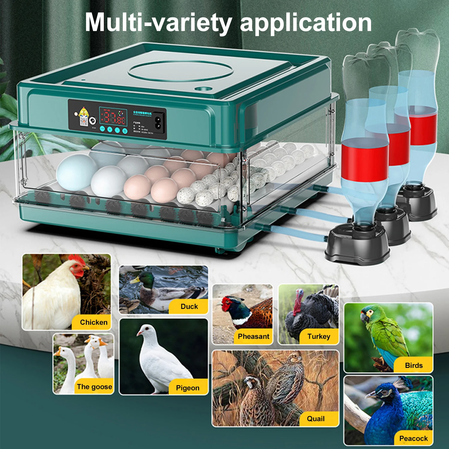 Incubatrice Intelligente per Uova con Controllo Automatico della Temperatura, Rotazione Uova, Capacità 15-30 Uova, Macchina per Incubazione Pollame pe