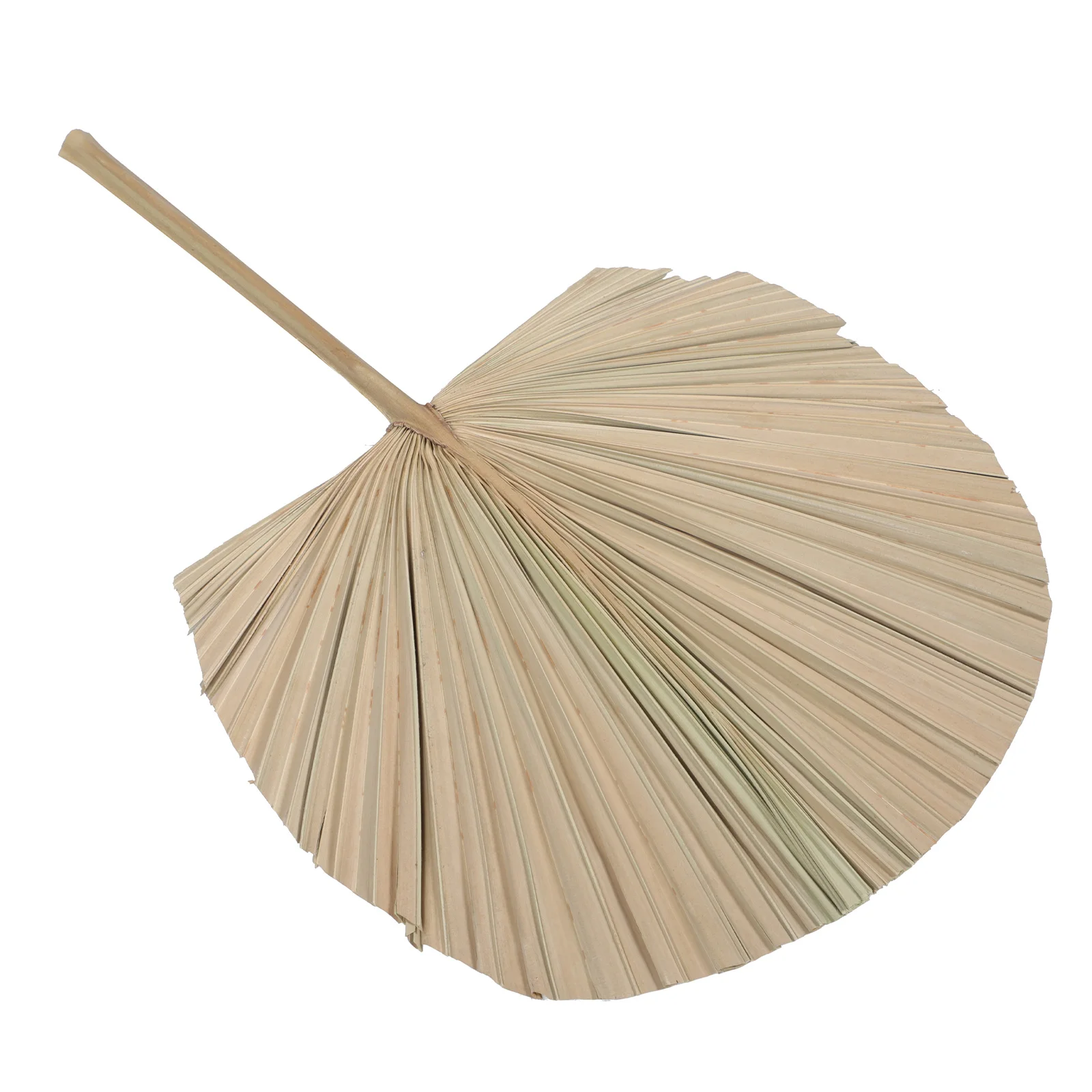 

1pc Dried Palm Leaf Decor Natural Home Hotel Adornment Wedding Party Wall Art Flower Arrangement Scene Layout Prop Photography