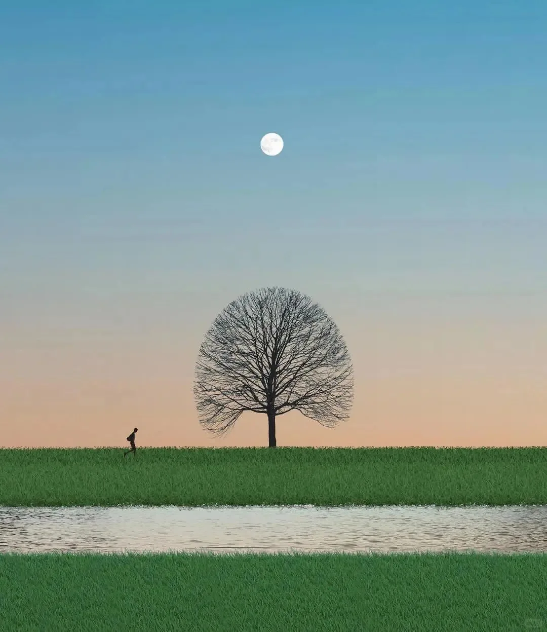 12.3Inch For Merced… - image