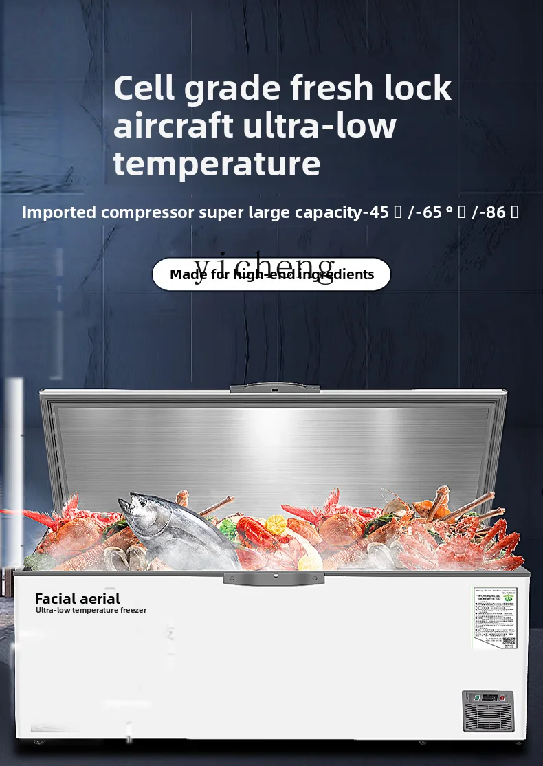 

ZZ ultra-low temperature freezer minus 60 degrees commercial tuna seafood stainless steel freezer -40-80 scientific