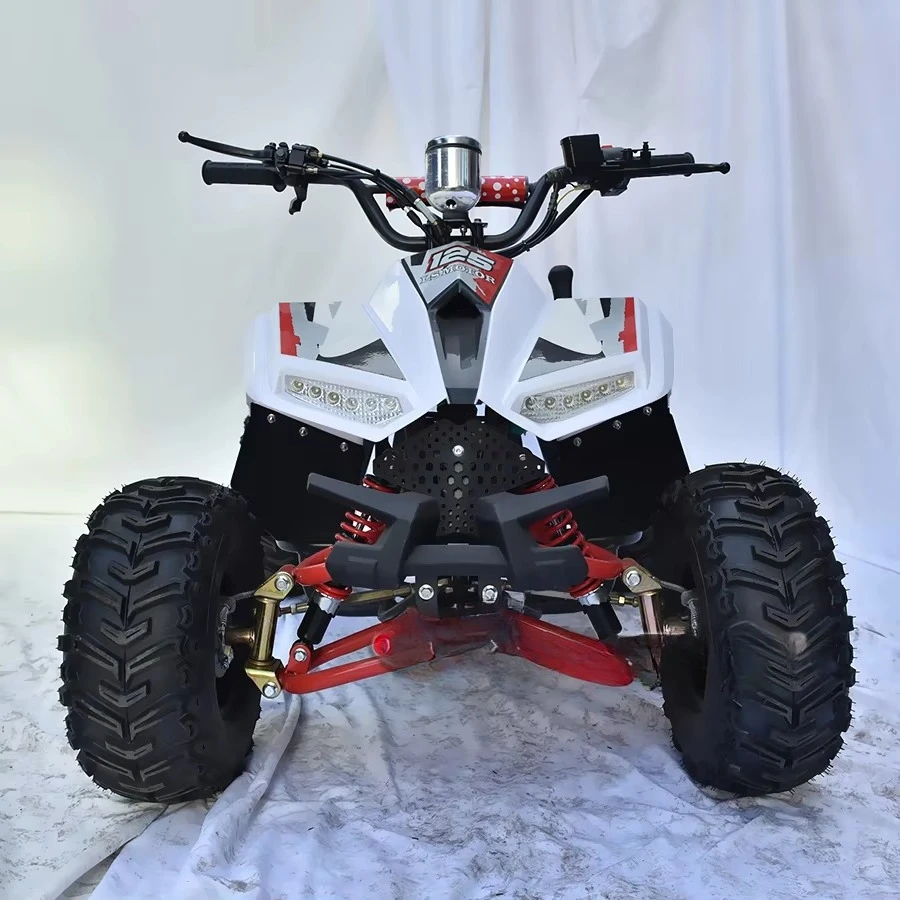 Professional Factory 110cc Aurui Youth Quad With 4 Wheels