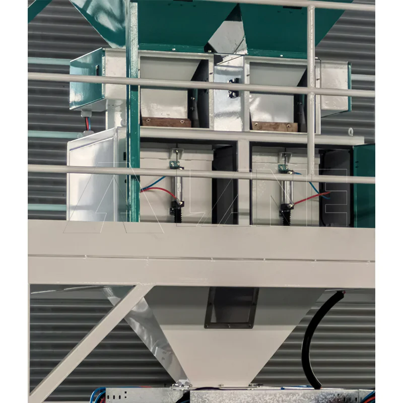 LANE 10kg Pet Food Packing Large Bag Filling Grains Automatic Packaging Machine Dog/cat Food Package