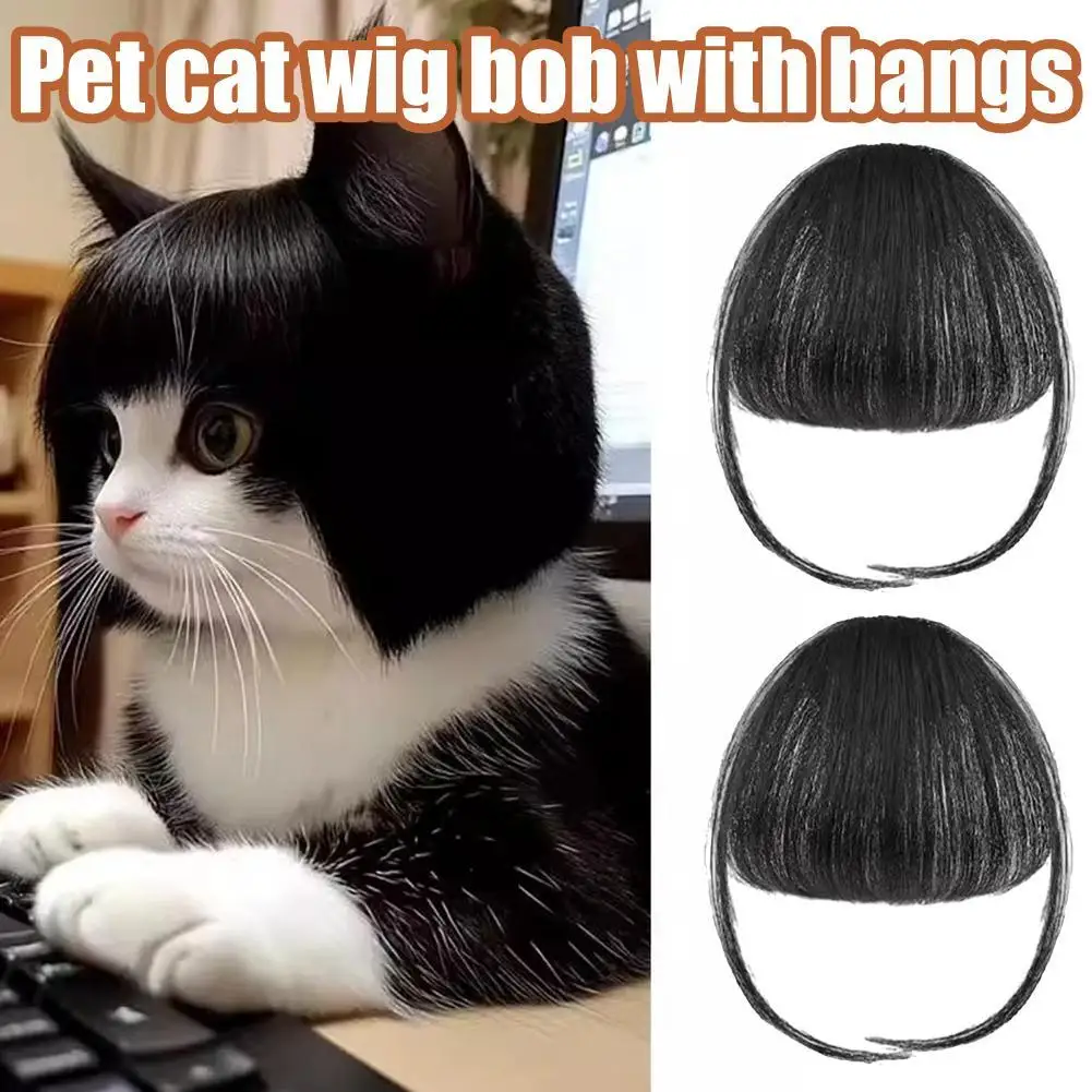 

﻿ Pet Wig,Cat Cosplay Props Curly Straight Hair,Puppy Costumes Supplies,Dog Creative Cross-Dressing Photography,Funny Prank