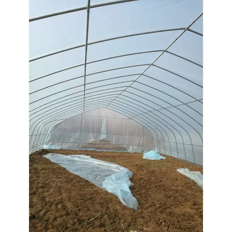 الدفيئة الزراعية على نطاق واسع البيت الساخن منزل دافئ تزايد خيمة مزرعة نفق البيت الأخضر