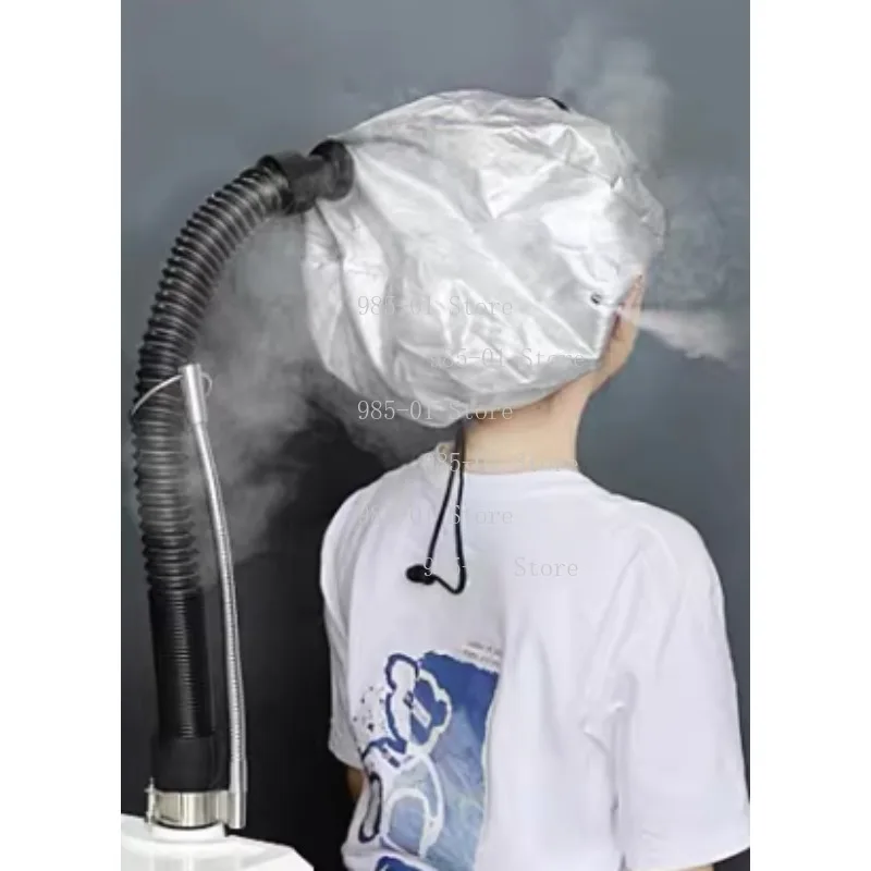 Professional Cap Bonnet Ionic Micro Mist Micromist Hair Salon Steamer Machine with Care Hari SPA Care Treatment
