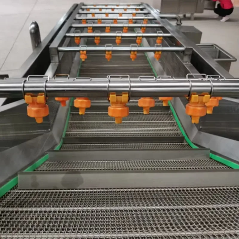 Fruit Vegetable Brush Washing Machine SS304 Bean Sprouts Potatoes Cleaning Equipment Custom