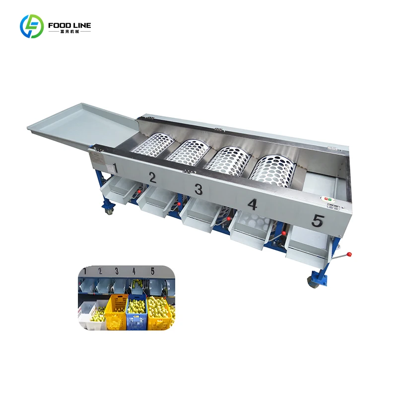 Optical Fruit Sorting Equipment for Industrial Grading and Size Classification Fruit and Vegetable Sorting Machine Customized